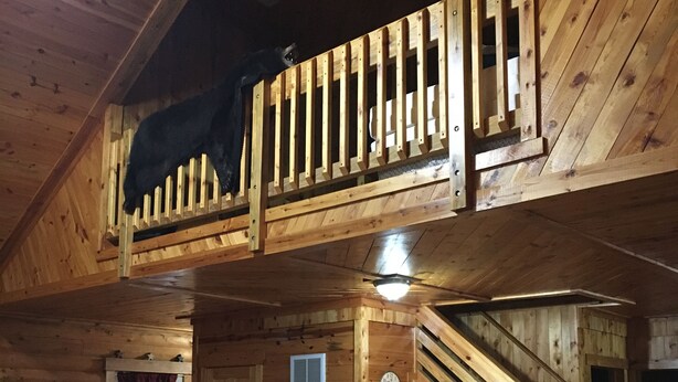 A rustic cabin interior with a loft bedroom, wooden walls, a checkered tablecloth, and a staircase. - Cozy Quiet Cabin @ Lake Anna (Mineral)