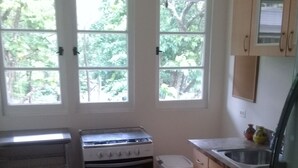 Une cuisine équipée d’une cuisinière, d’un four, d’un évier et de placards. Deux fenêtres offrent une vue sur les arbres.