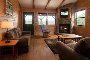 TV, fireplace, DVD player