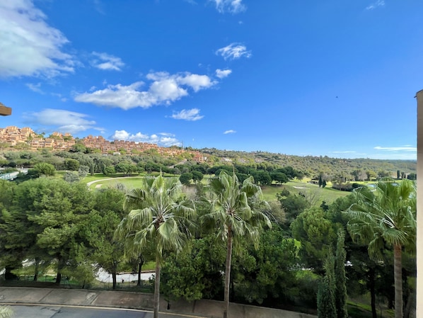 A view of a park with palm trees and a distant town.