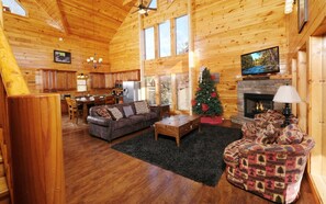 TV, fireplace, video games, video library