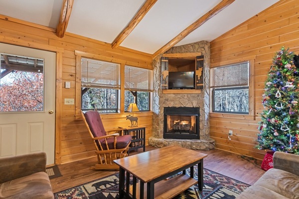 TV, fireplace, DVD player