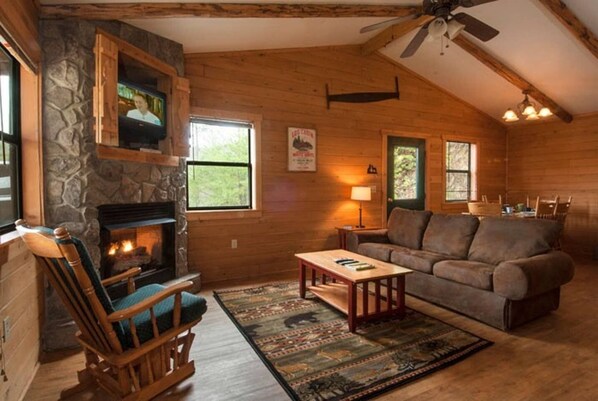 TV, fireplace, DVD player