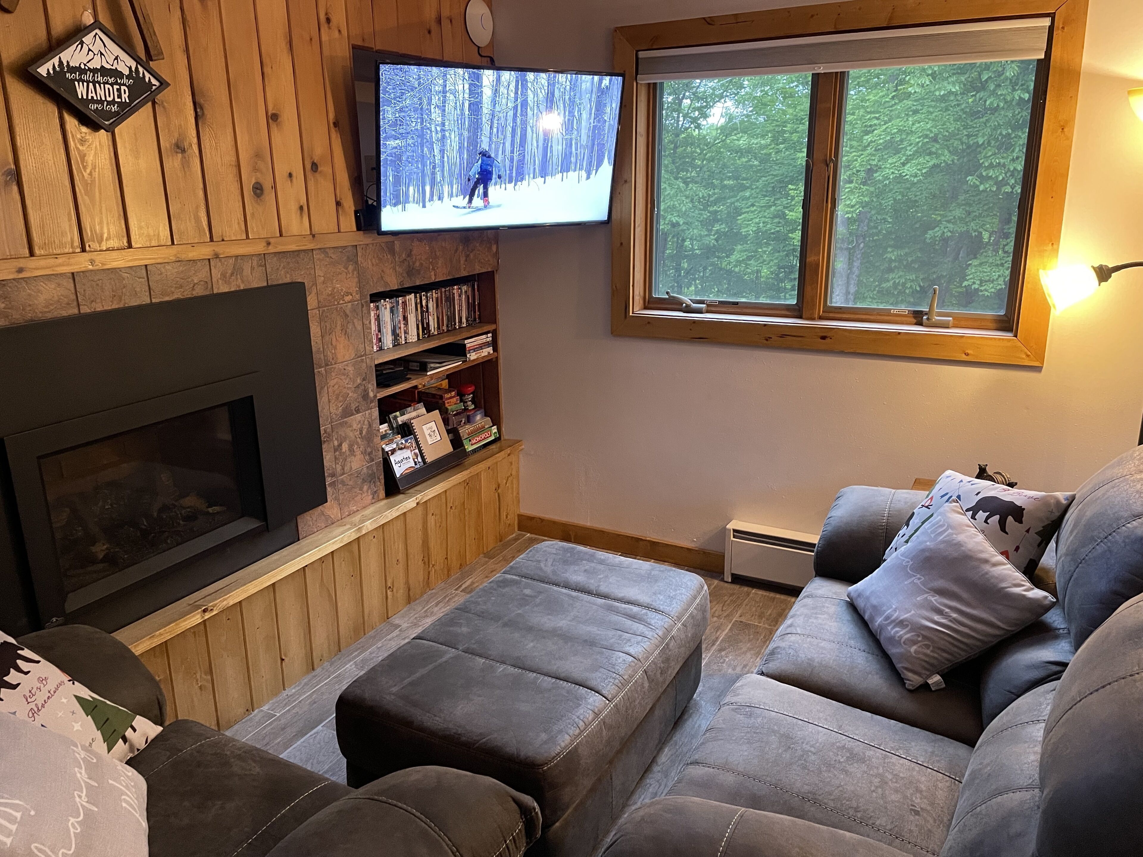 Smart TV, fireplace, DVD player, books