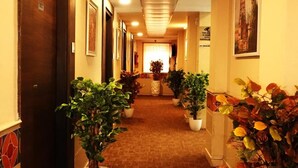 A hotel hallway with wooden doors, potted plants, and framed pictures on the walls. - Hotel K square (Chennai)
