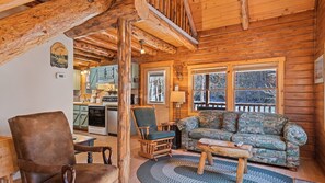 TV, caminetto, lettore DVD, tavolo da ping pong