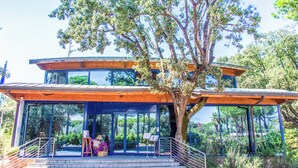 A modern two-story building with a large tree in front. - Resort Riva degli Etruschi (San Vincenzo)