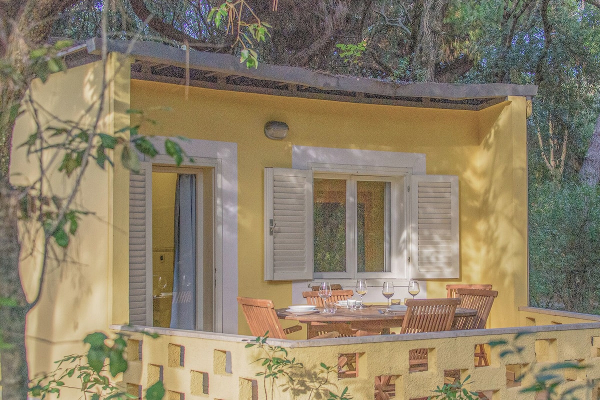 Villa Superior | Terrace/patio