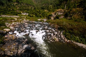 Une rivière avec des rochers et de la végétation en arrière-plan.