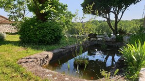 A pond with water lilies and koi fish, surrounded by lush greenery and a stone wall.