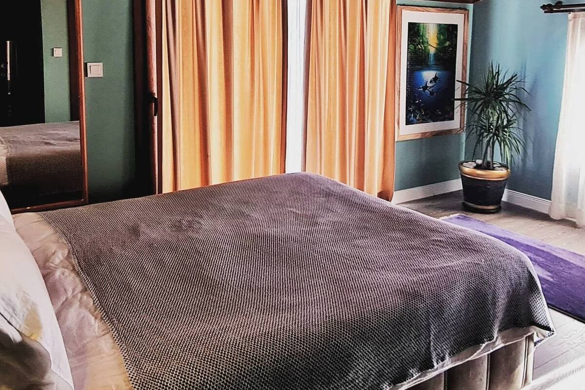 A bedroom with a bed, curtains, a framed picture, and a potted plant.