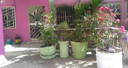 CASA BUGAMBILIA se factura
