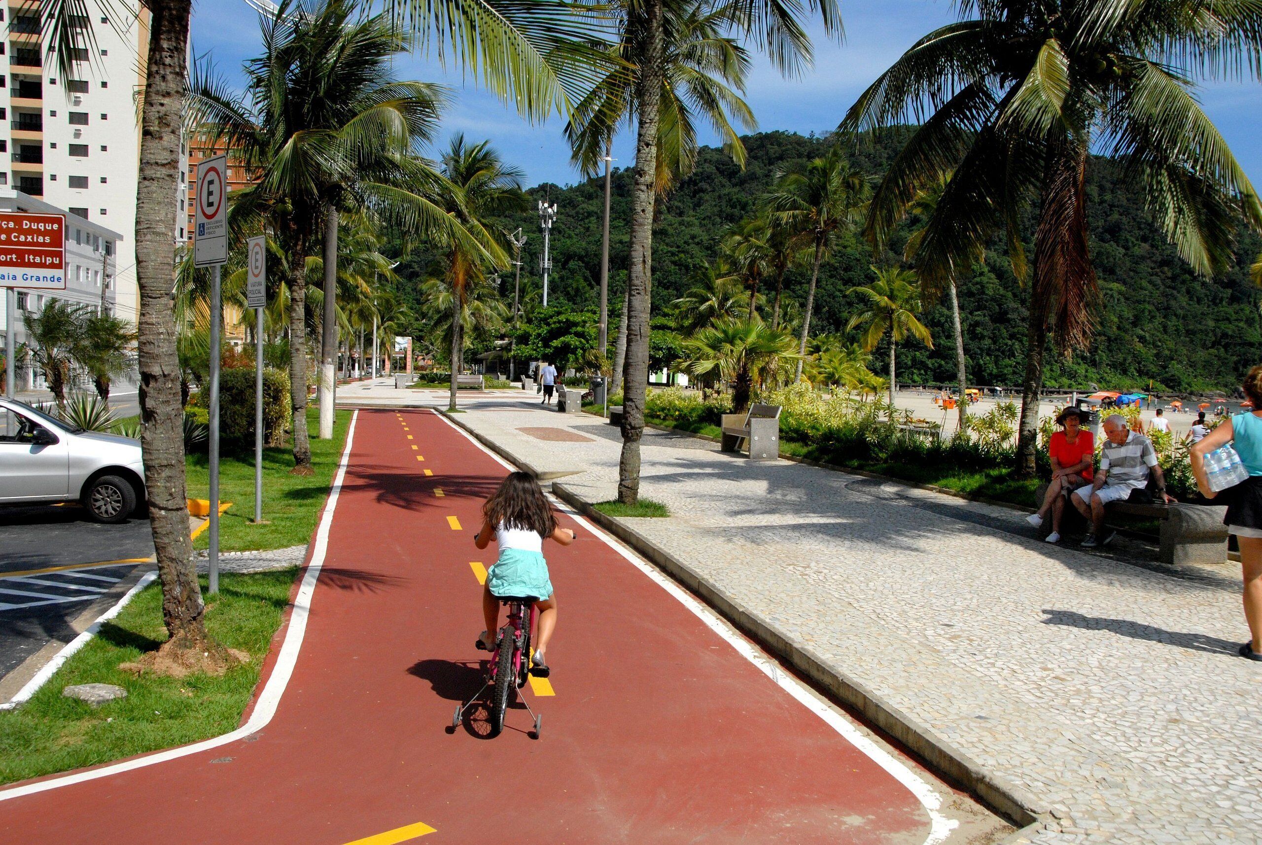 A red bike lane with palm trees and a beach in the background.