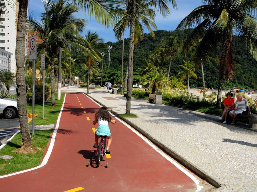 A red bike lane with palm trees and a beach in the background.