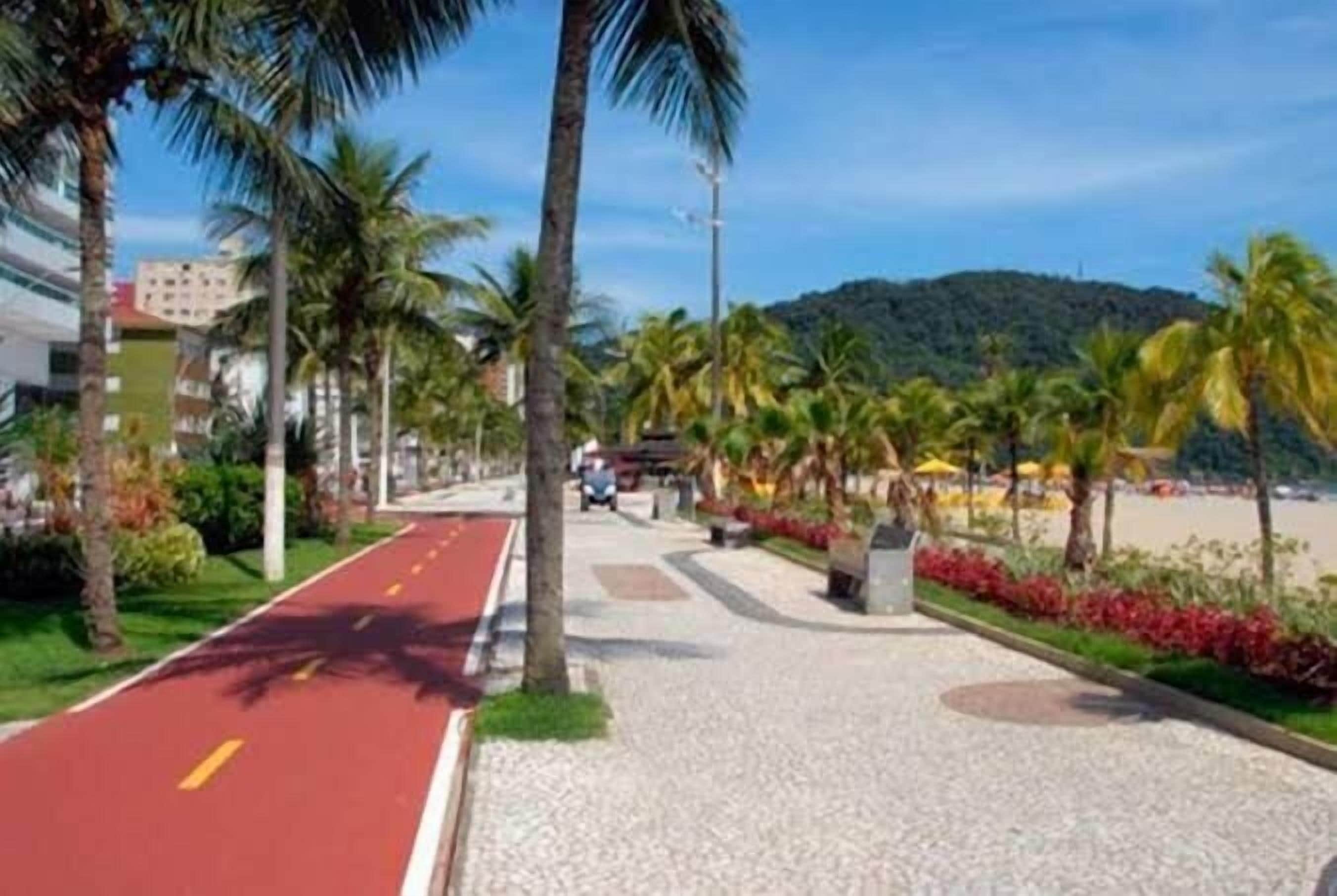 Un camino pavimentado con carril bici rojo, palmeras y una playa al fondo.