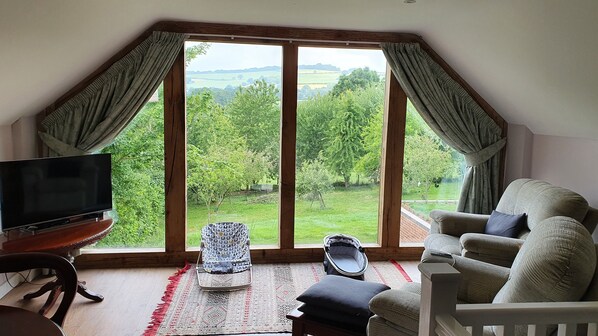 Smart TV, DVD player, books - Lovely dog friendly cottage 4 miles from Ludlow with feature oak glass gable. (LUDLOW)