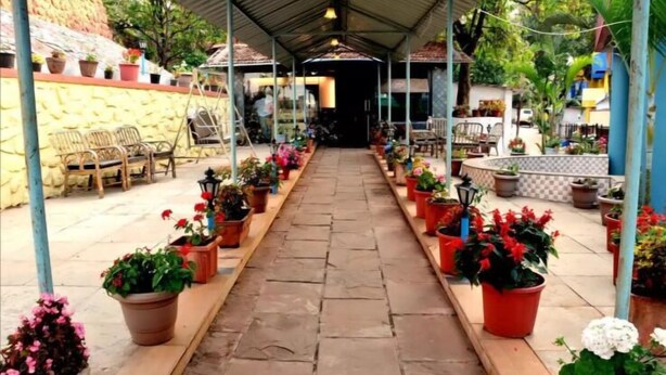 Un espace extérieur abrité, doté d’un chemin en pierre bordé de plantes en pot et de chaises.