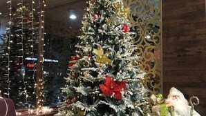 Lobby sitting area - King David Bakuriani (Borjomi)