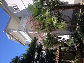 Detalle del exterior