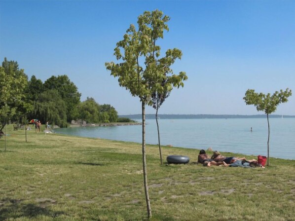 A grassy area with two trees, a tire, and people relaxing by the water.