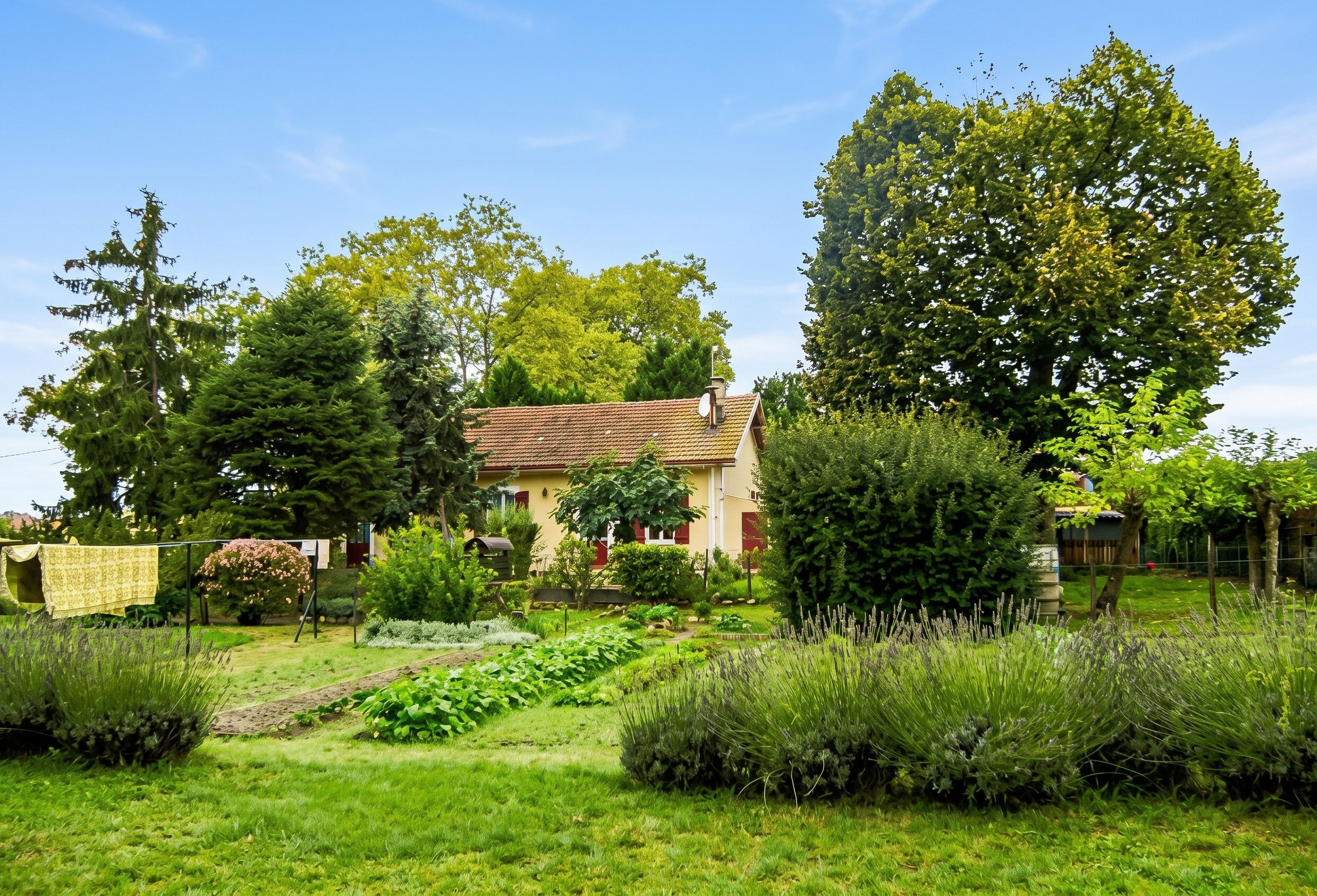 Una casa con jardín, rodeada de árboles.