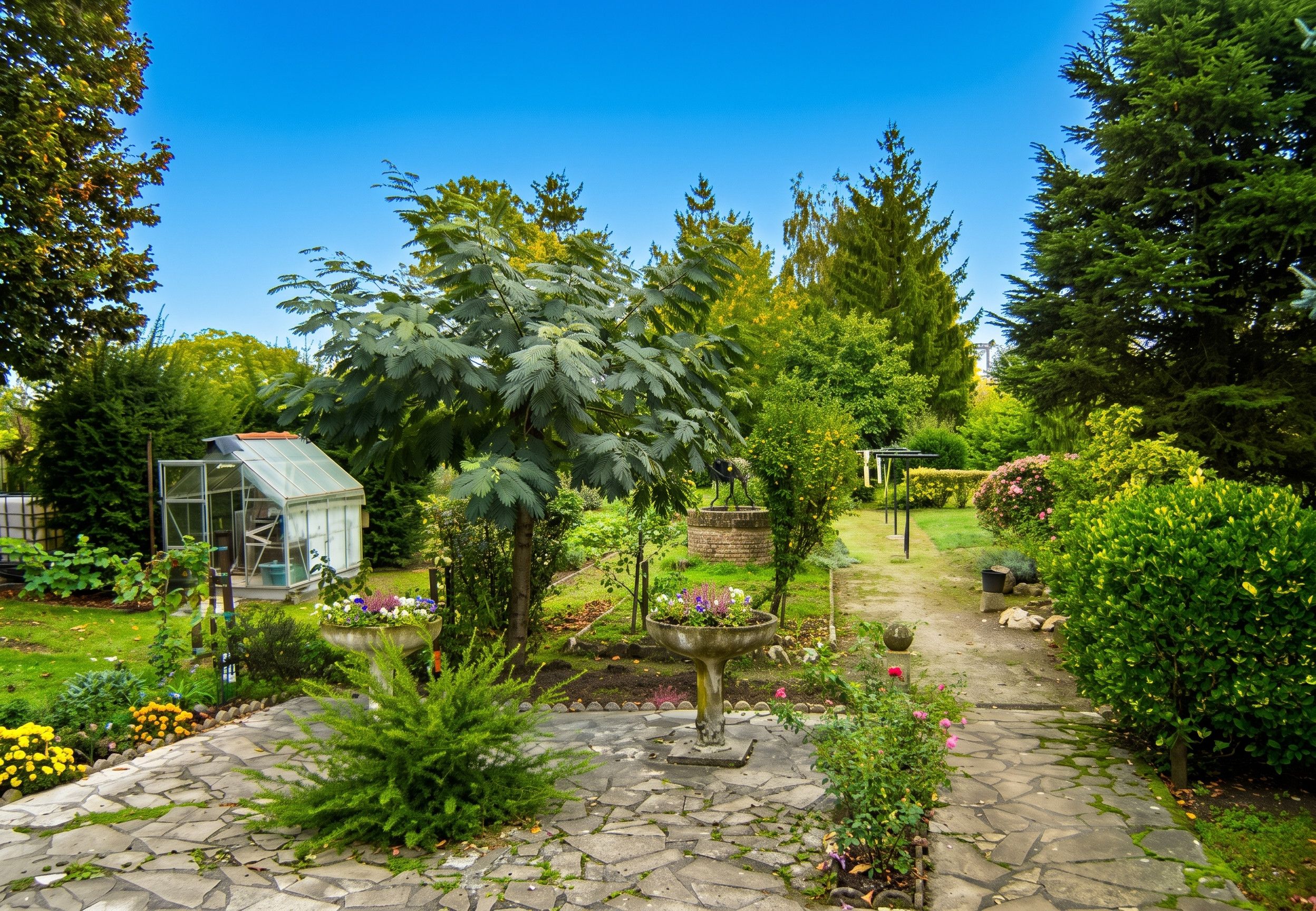 Een tuin met een kas, een pad van stenen en diverse planten.