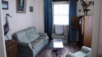 Flat-screen TV