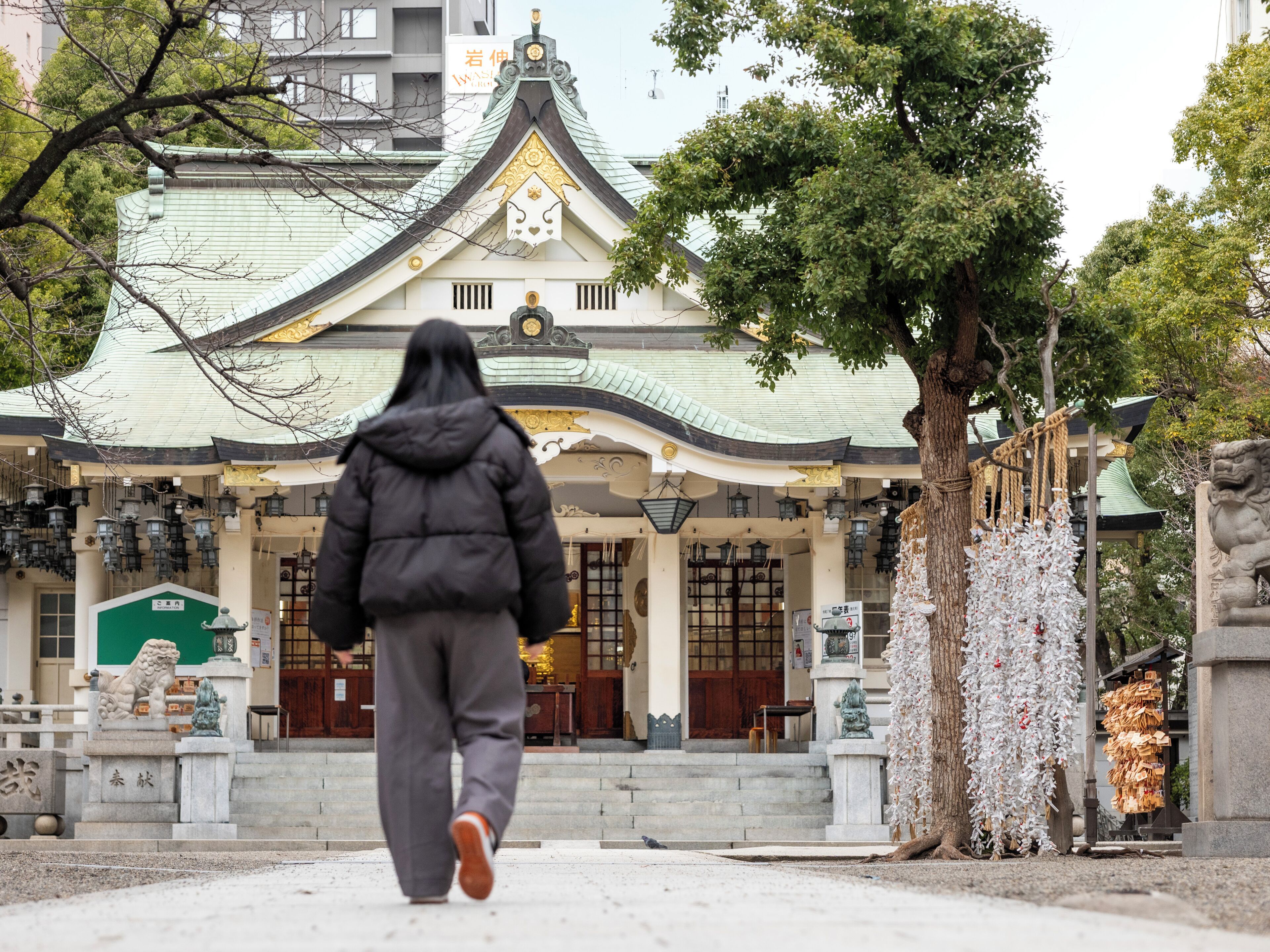 land view from property