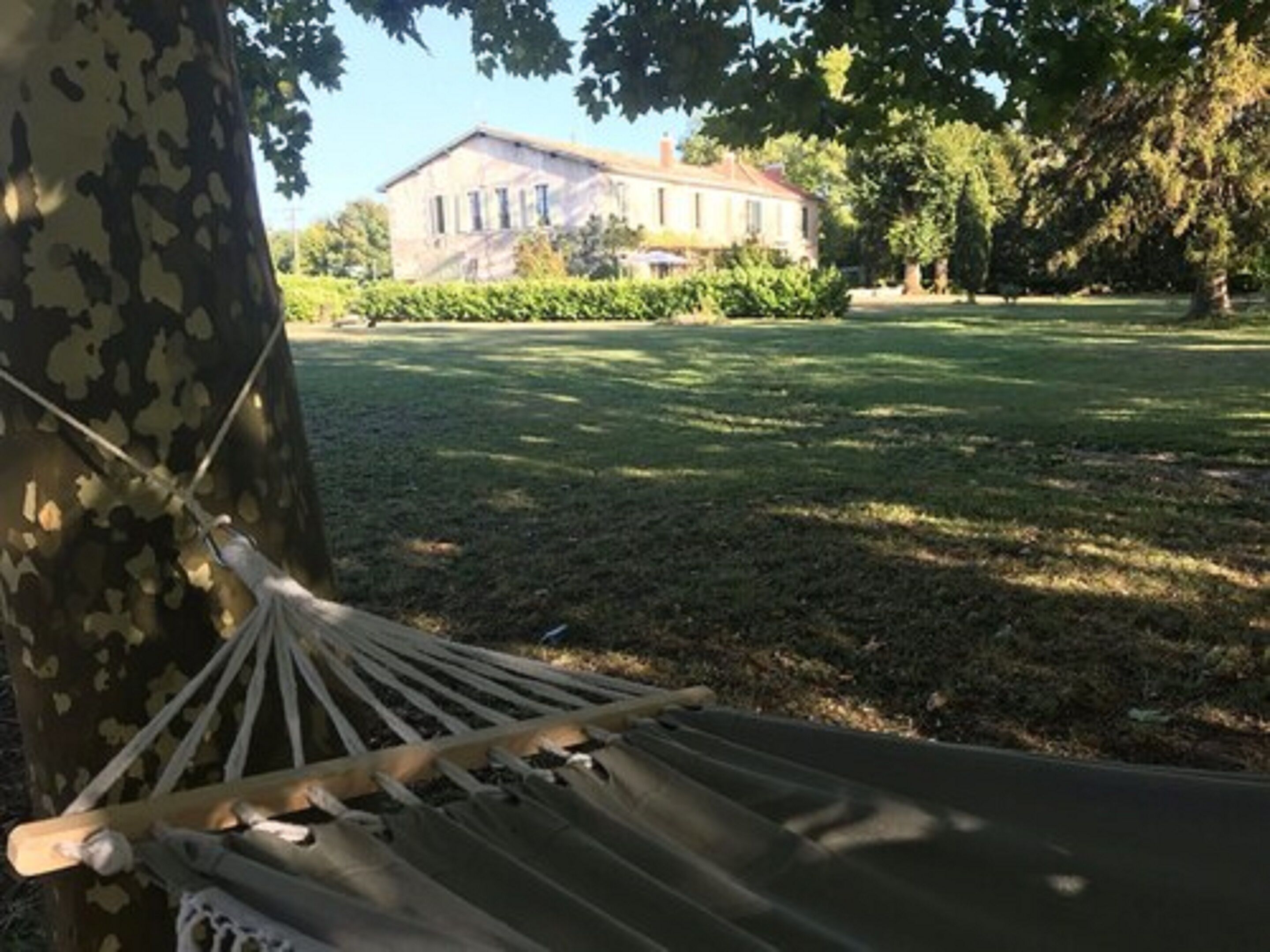 A hammock tied to a tree in a grassy area with a building in the background.