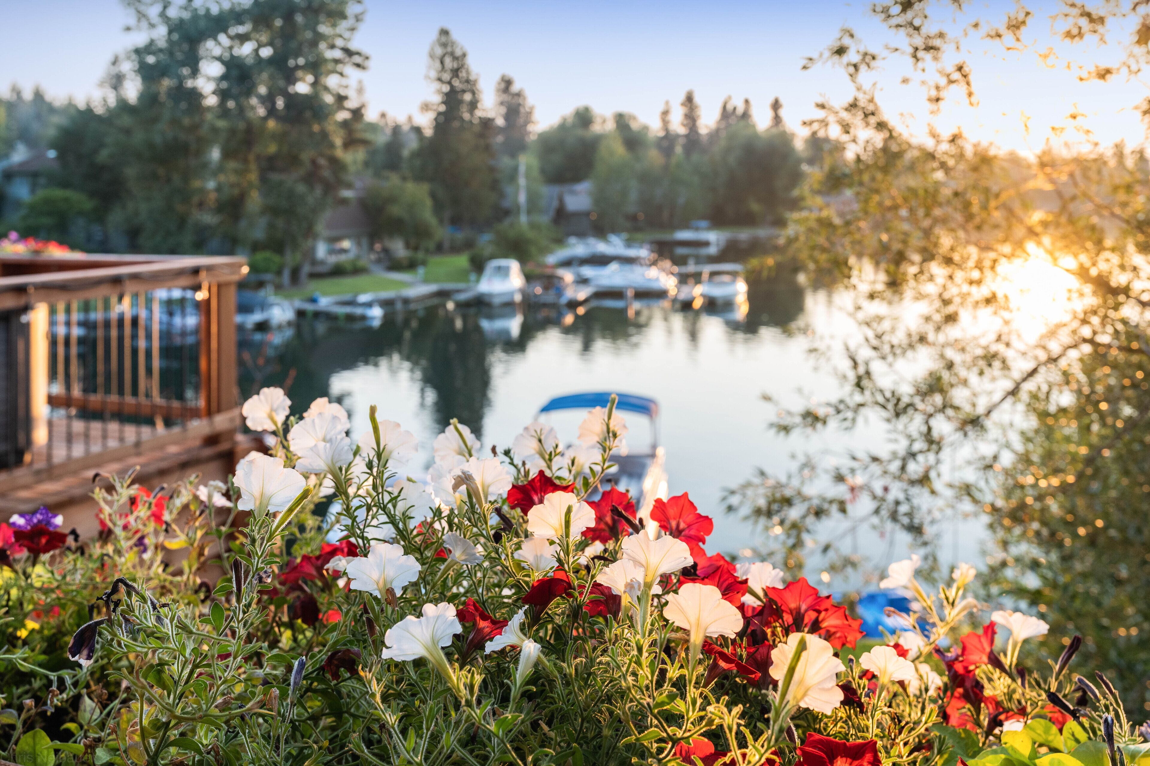 Uitzicht op het water met boten, een houten steiger en kleurrijke bloemen op de voorgrond.