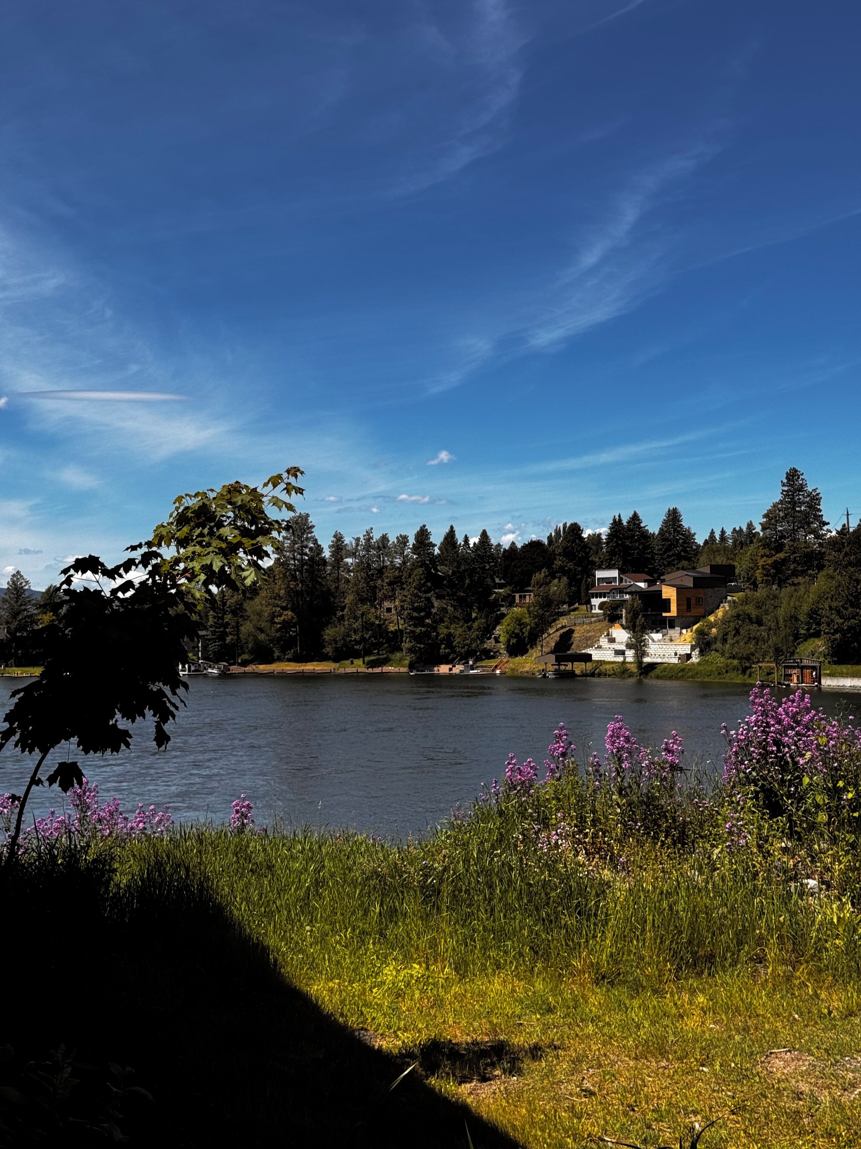 Vista de un lago con una casa, árboles y cielo despejado.