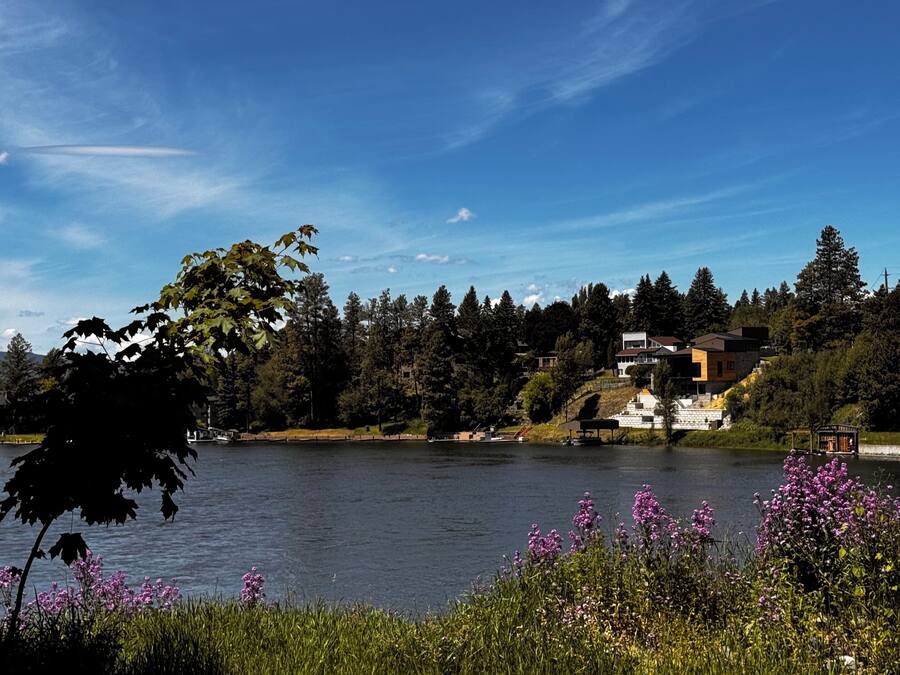 Vista de un lago con una casa, árboles y cielo despejado.