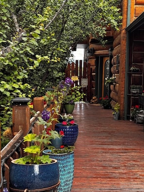 A wooden pathway lined with large potted plants and a rustic building with a wooden facade.