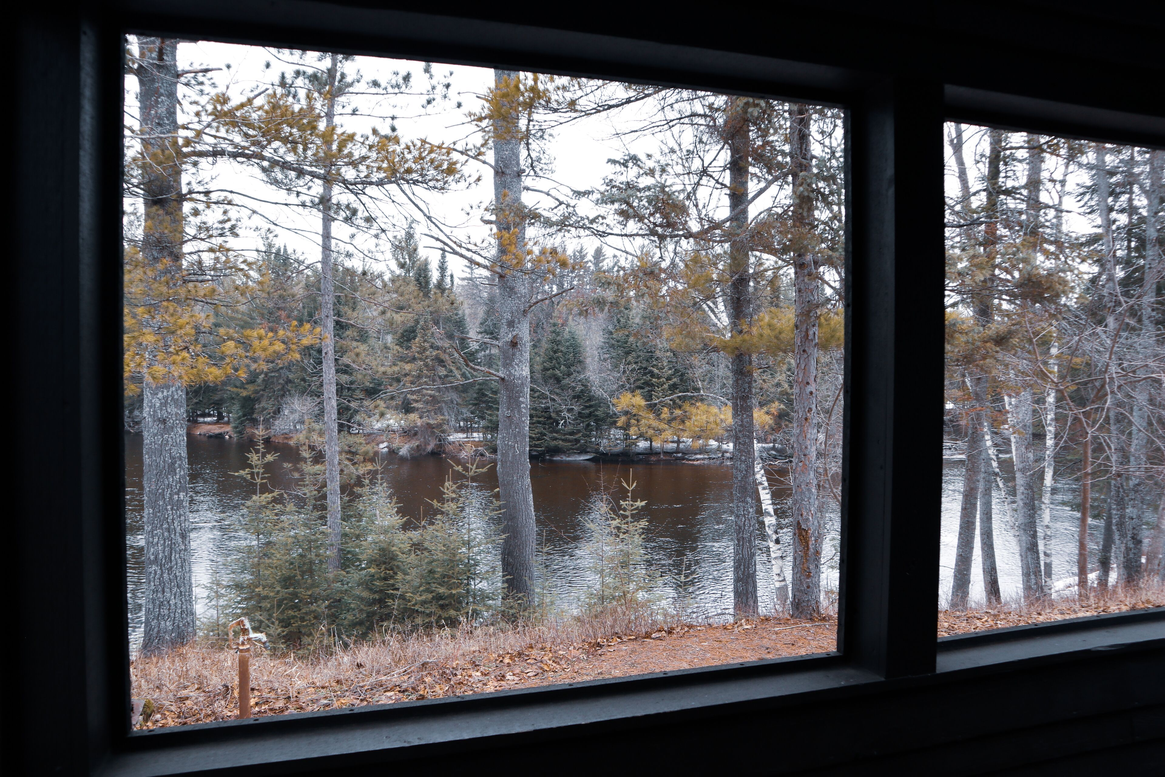 A view through a window of a forested area with a lake, trees, and a dock.
