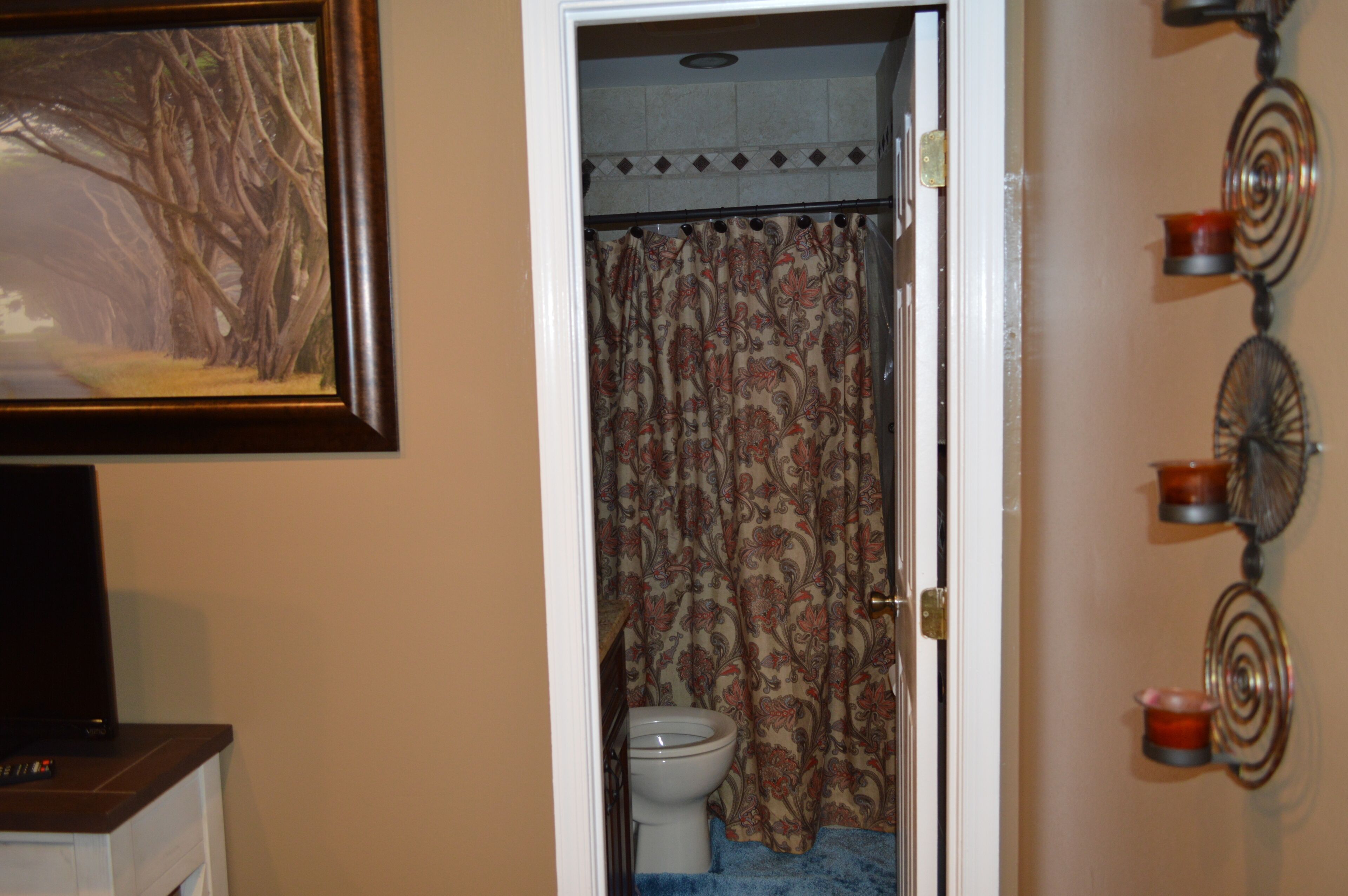 A bathroom with a toilet, shower curtain, and a framed picture on the wall.