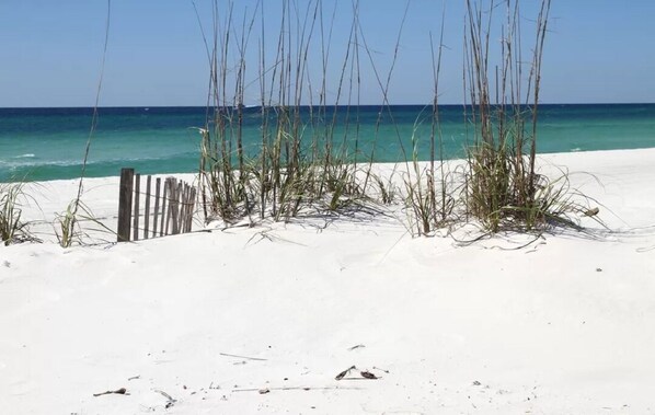 A sandy beach with sparse vegetation and a wooden fence.