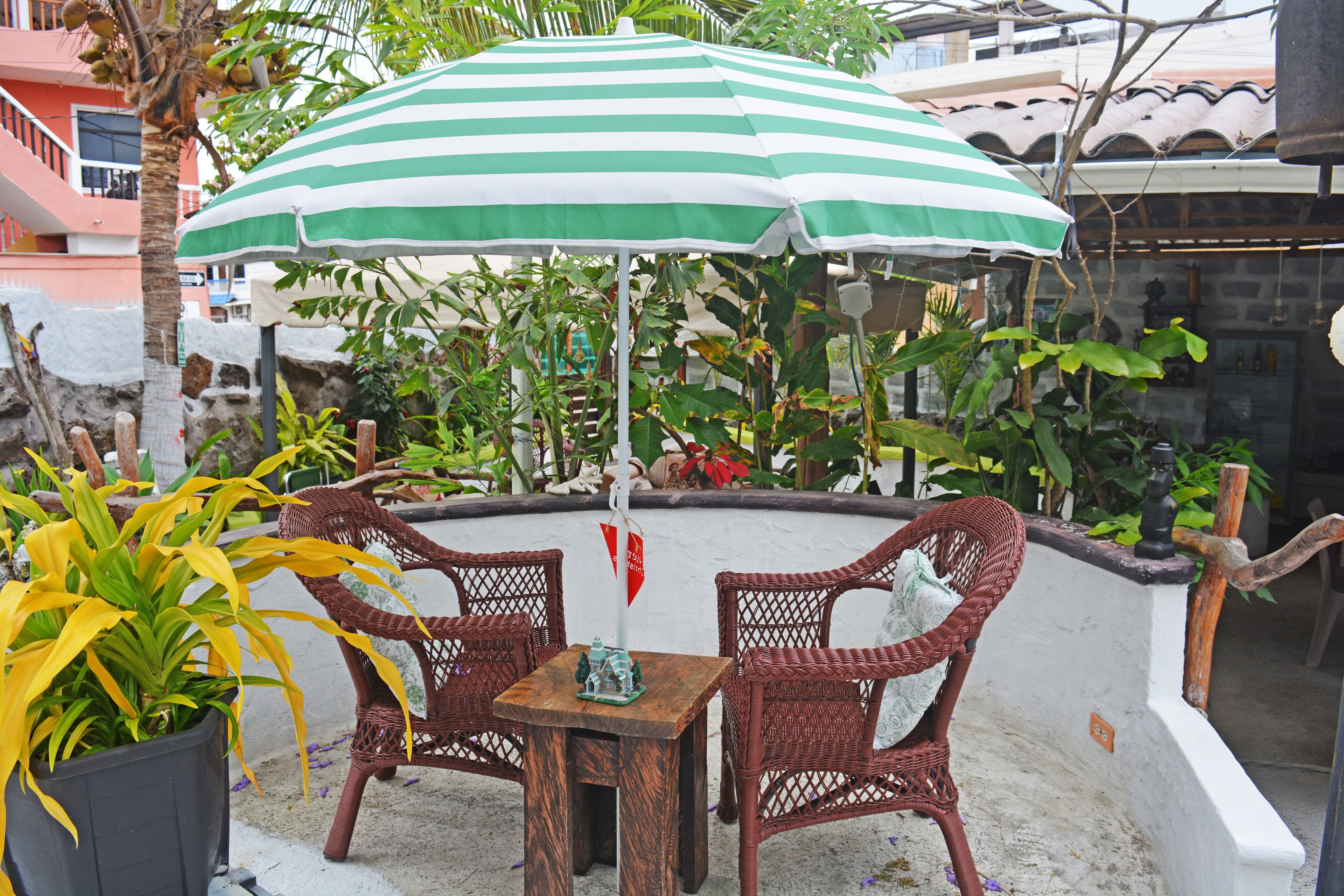 Terras