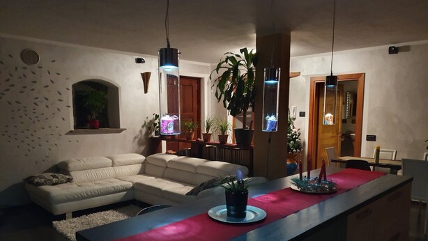 A modern living room with a sofa, a dining table with a red runner, and potted plants. - Villa la Tour Deluxe (Nus)