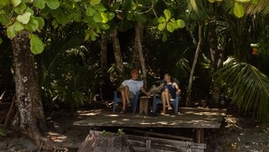 Una terraza de madera con dos personas sentadas en sillas, rodeada de abundante follaje tropical.