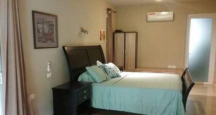 Beachfront Nature Rentals-Ocean/Pacific Beachfront Studio- 425 SQ. feet