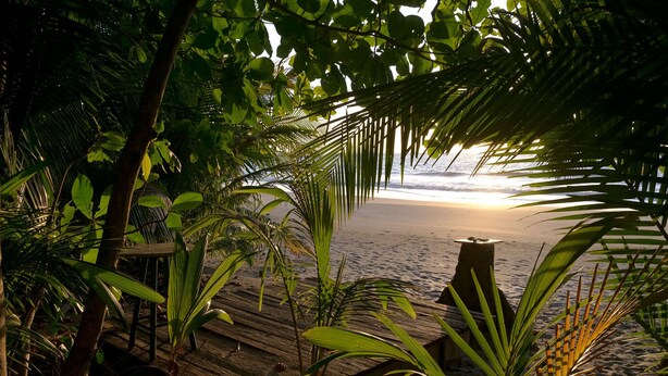 Una terraza de madera que conduce a una playa con palmeras y una estructura de madera.