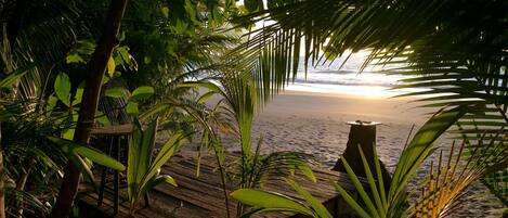 Plage, chaises longues, serviettes de plage