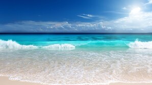Une plage à l’eau turquoise et limpide et au sable blanc.