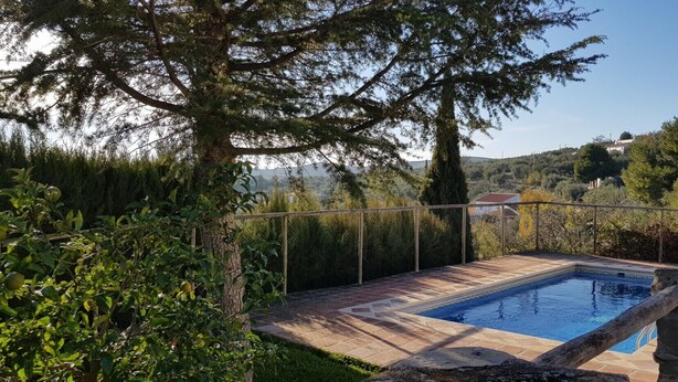A rectangular pool with a stone border, surrounded by a metal fence, set in a lush garden with various plants and trees.