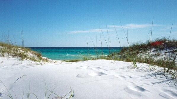 House | Beach | Private beach