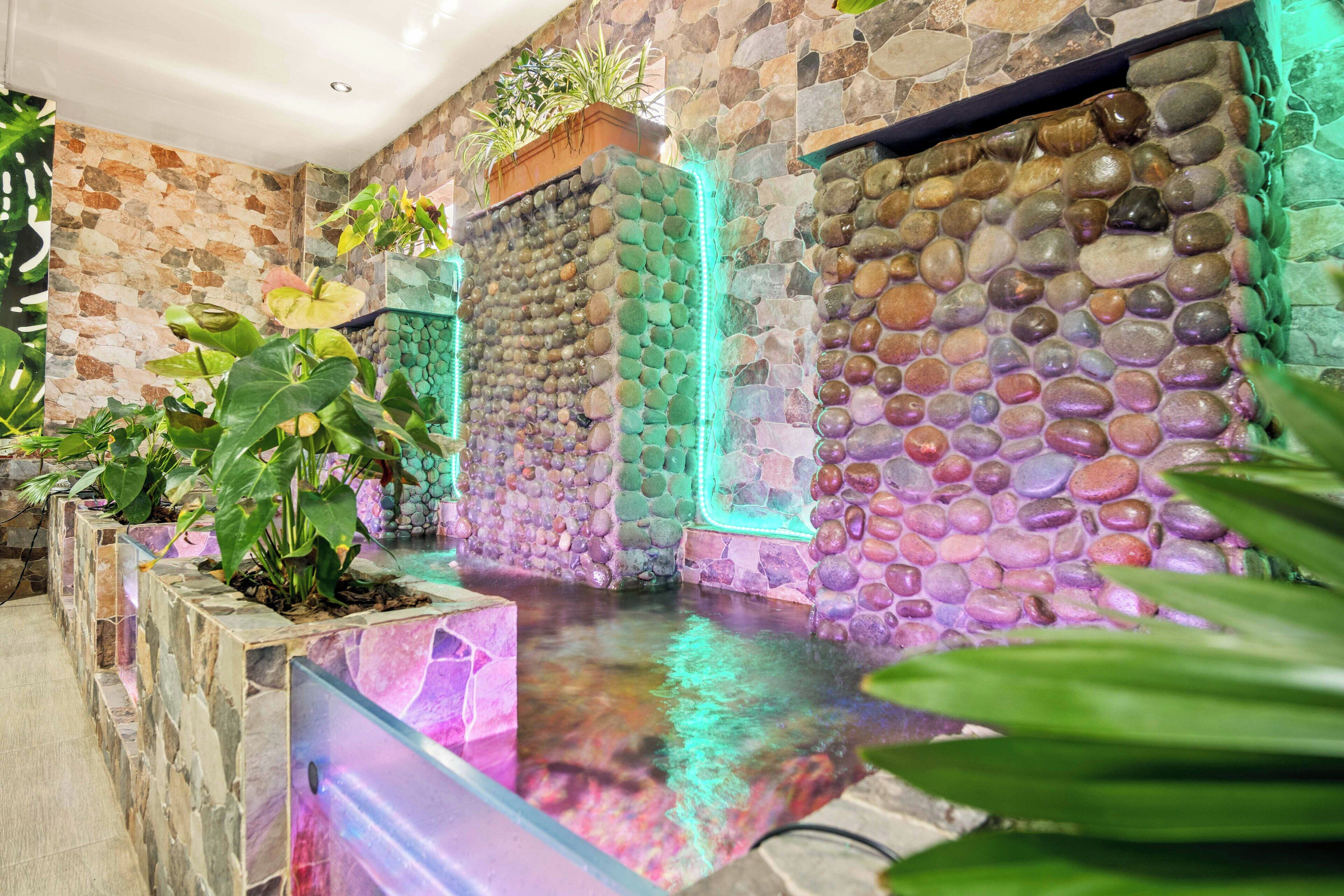 Foto - Aparta Hotel EcoSuite