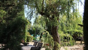 Un espace extérieur aménagé avec une table et des chaises, entouré d’une végétation luxuriante et d’arbres.