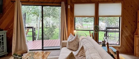 Smart TV, fireplace, DVD player, books