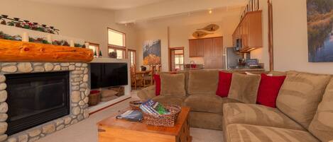 TV, fireplace, books