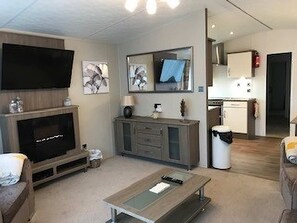 TV connectée, cheminée, lecteur de DVD